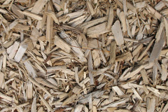 biomass boilers High Handenhold